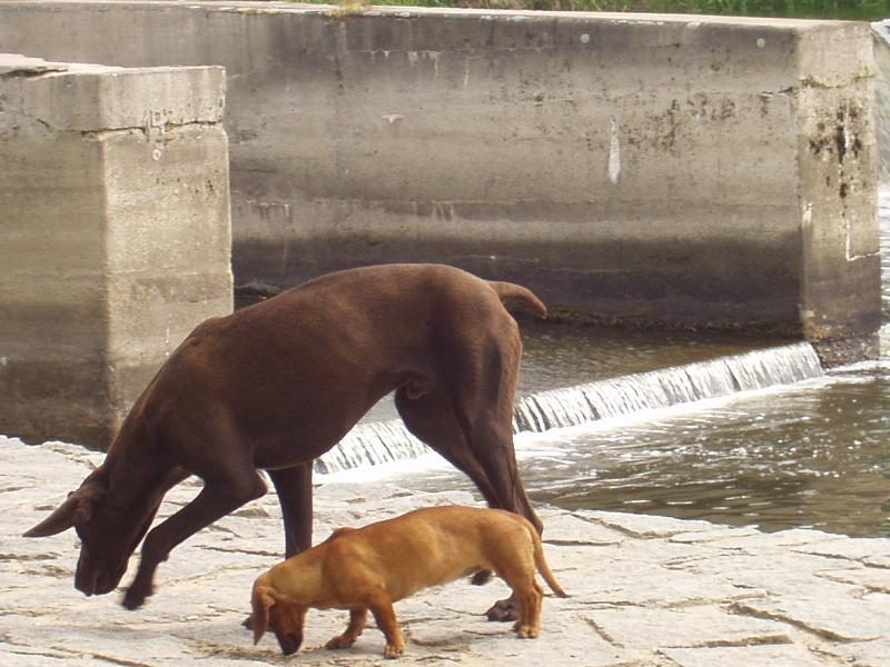 Foto: BOK PO BOKU-JE FAJN M�T KAMAR�DA