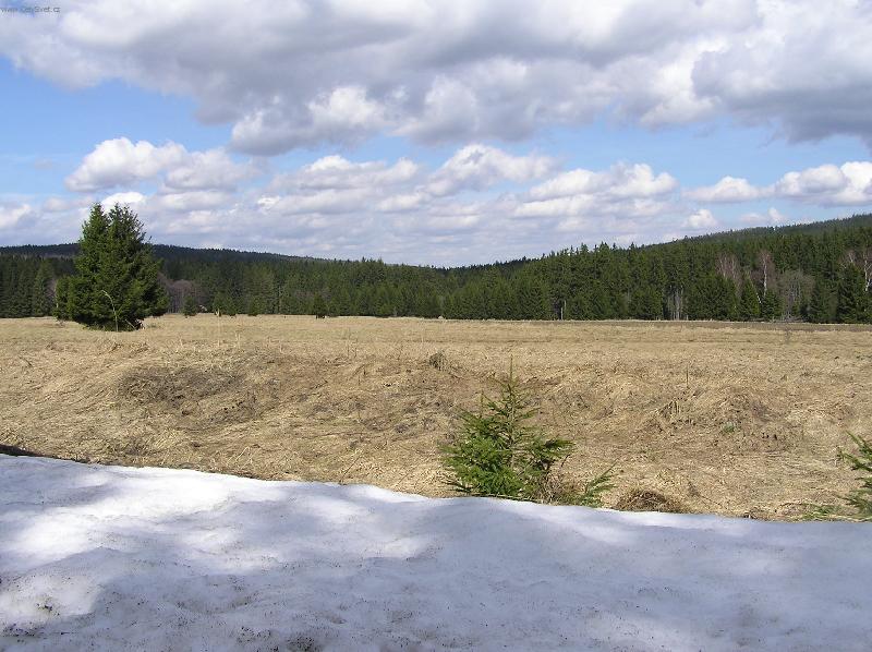 Foto: Brdy 2.dubna 2006 kolem 14.hodiny-Jaro u� se hl�s� v Brdech, ale sn�hu je tu tak� dost.