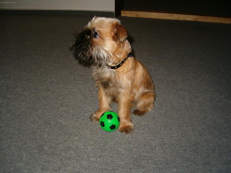 Foto: Ad�sek-Jsem mal� p�lro�n� fotbalista