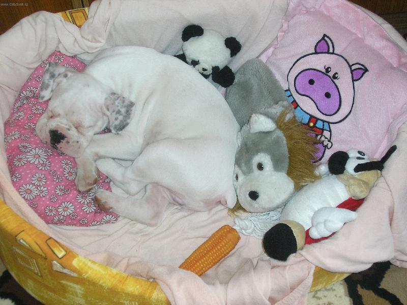 Foto: na�e miminko-moc r�d spink�m...