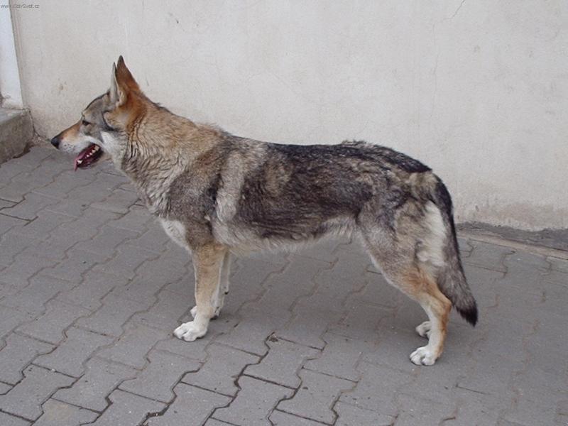 Foto: rita-stojim jako socha tak si me vyfot nebo ti utecu