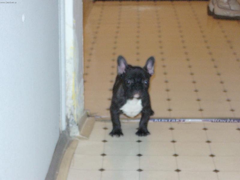 Foto: Blueberry-tak tady je to te� moje...