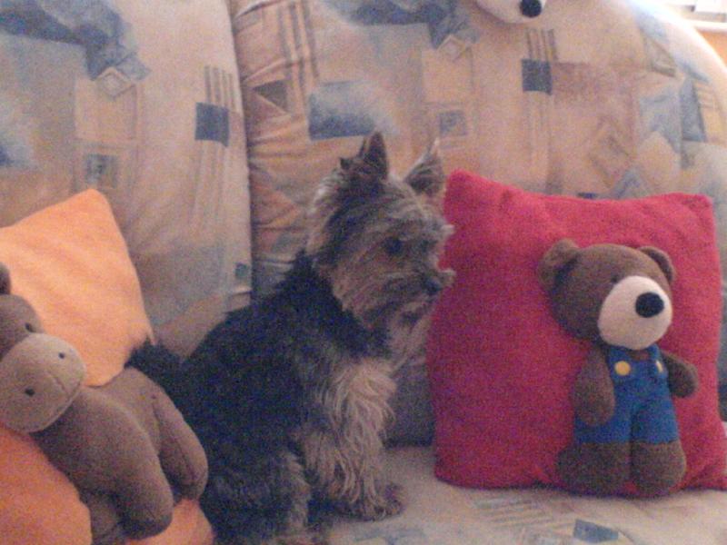 Foto: trha�-Art��ek a jeho k�mo�i