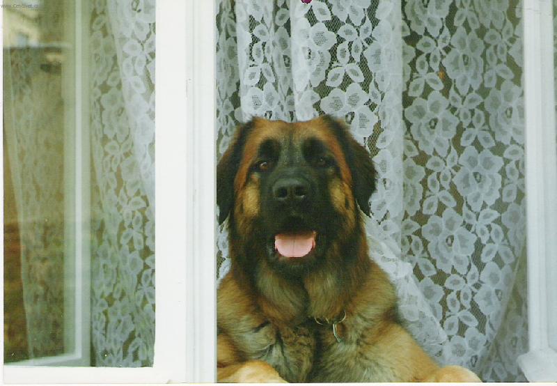 Foto: Bejbinka-..hur�..jaro je tady..