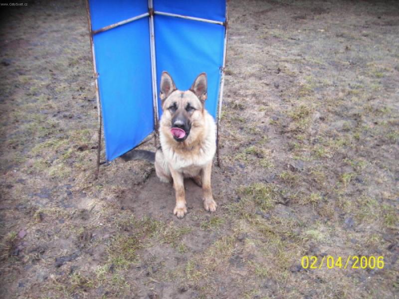 Foto: Besi se ,,�v�ka�kou,,-nejrad�i m� hubba bubba