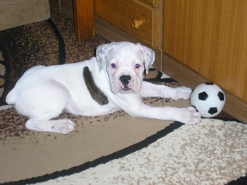 Foto: Fan�nek-to je m�j bal�n...