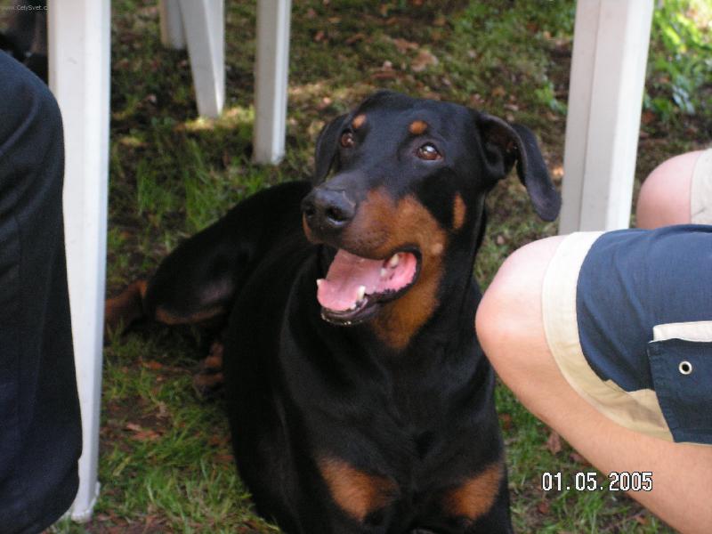 Foto: Kim-Jak dlouho je�t� asi budu �ekat a� n�co spadne?