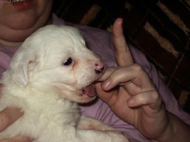 Foto: mami chci papat-na�e miminko v den kdy jsme si ho donesli dom�