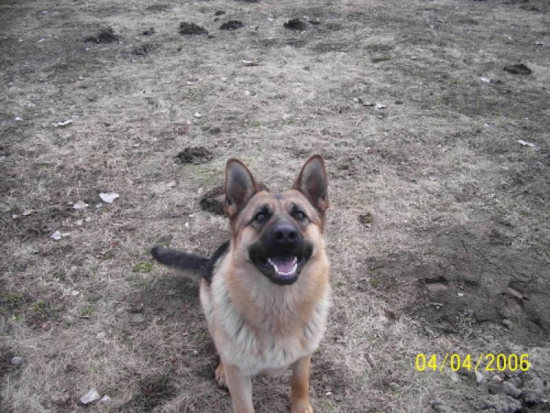 Foto: Besinka-s t�mhle nad�en�m se Besi vrh� za ka�d�m hozen�m aportem