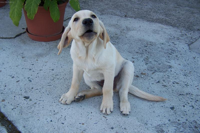 Foto: Anetka-takhle jsem k V�m p�i�la