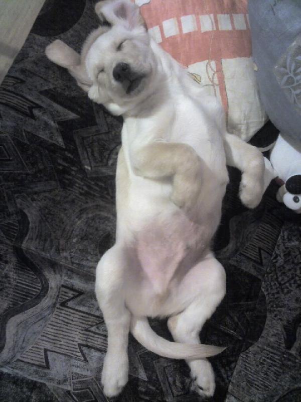 Foto: Mam gauc jen pro sebe ale ne nadlouho...