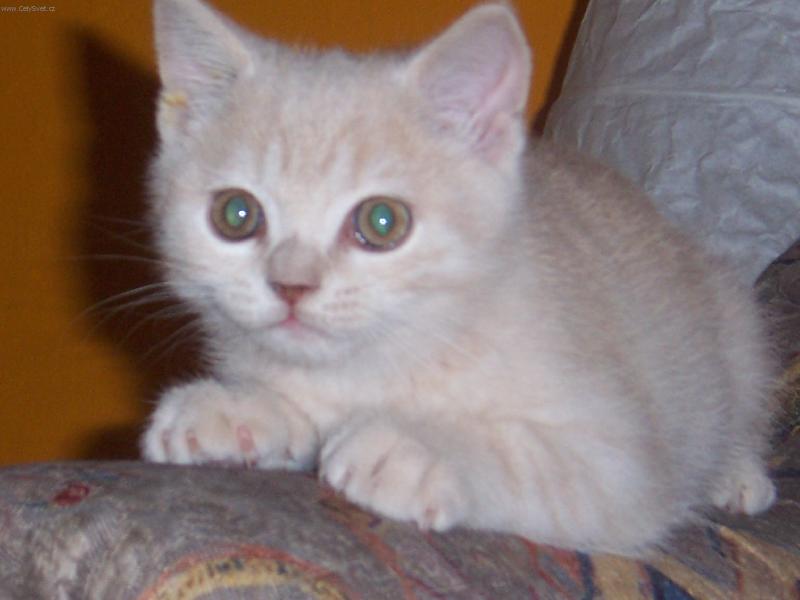 Foto: Pozor vylet� pt��ek-N� Garp�k