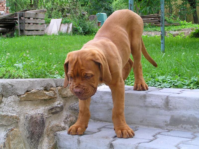 Foto: hop hop ze schod�-At�k a schody