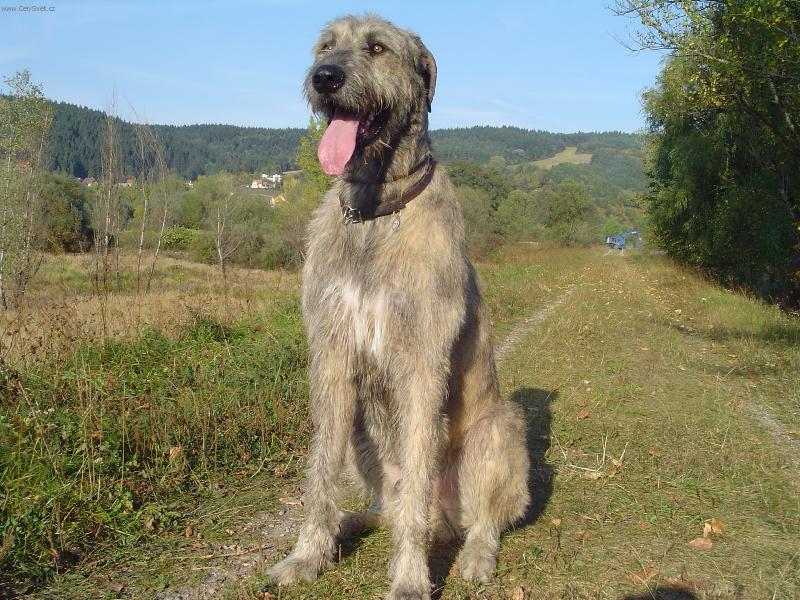 Foto: Relax-na slnie�ku