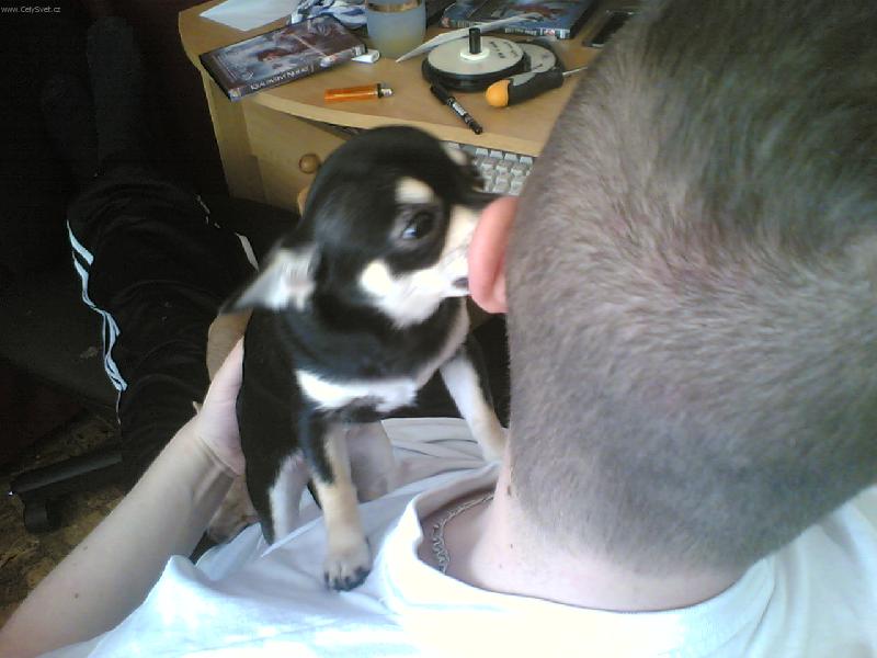 Foto: Zas je �i�t�n� na m�-to je �ivot ach jo!-Ennynka s p�ne�kem