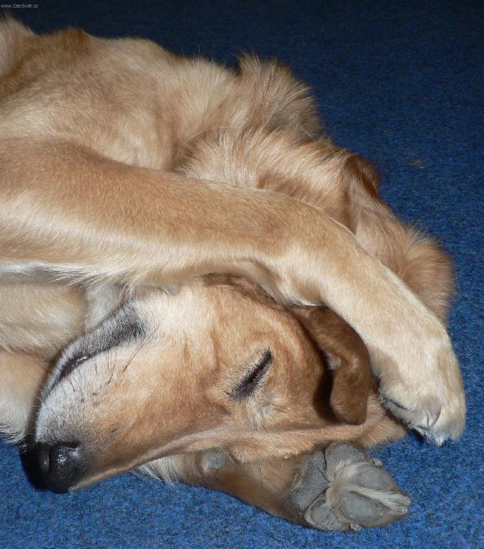 Foto: Bert le��c� sp�c�