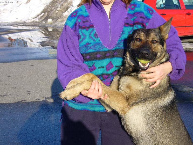 Foto: Erika Moravia Artex-jsem jako �lov�k he�