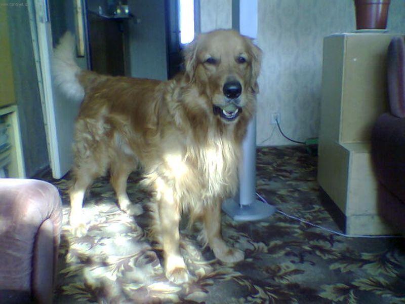 Foto: Falko1-Poj� si hr�t :-)