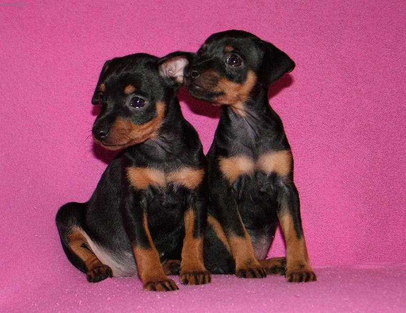 Foto: Eli�ky-Sest�i�ky