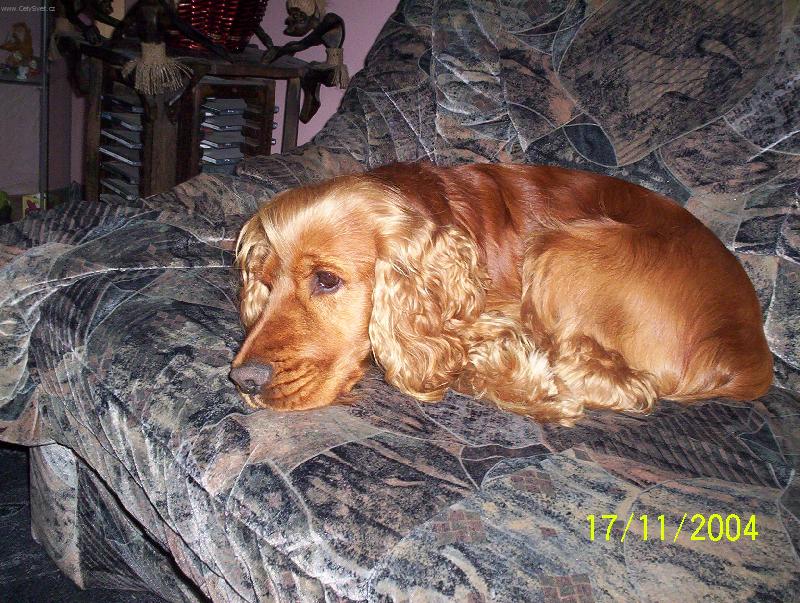 Foto: Keny-to m�m ale tr�pen�