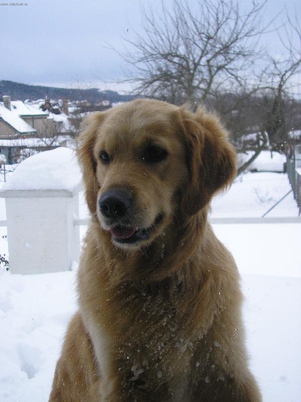 Foto: Ejminka v okn� ....-No jo no,na�e Ejma je takov� hl�da�ka ...