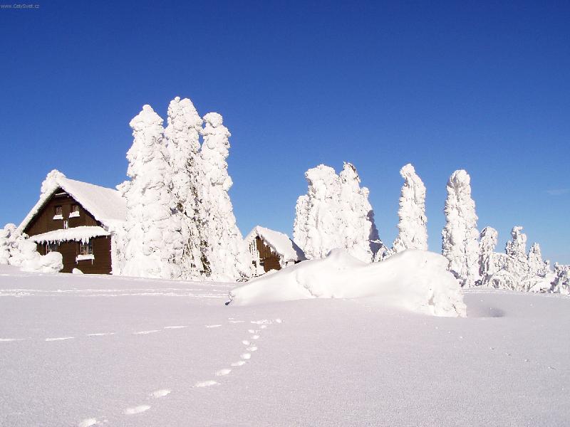 Foto: Zima 2006-chaloupka v De�tn�m v Orlick�ch hor�ch