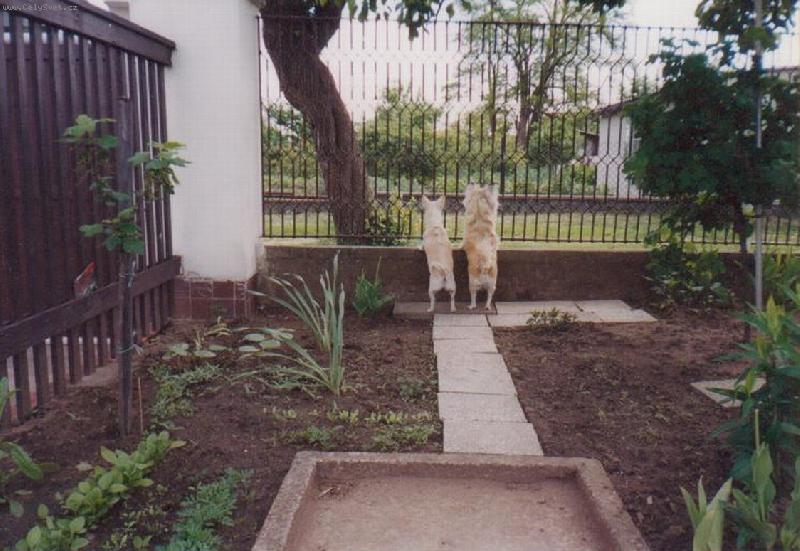 Foto: Vyhl�en� p�n��ka-to je doba, ne� p�ijede