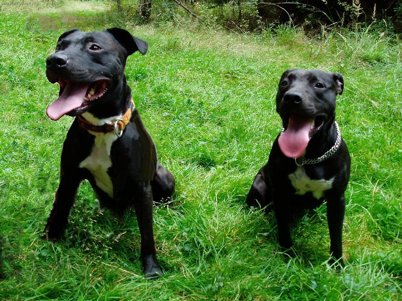 Foto: T�ta s dcerou 1