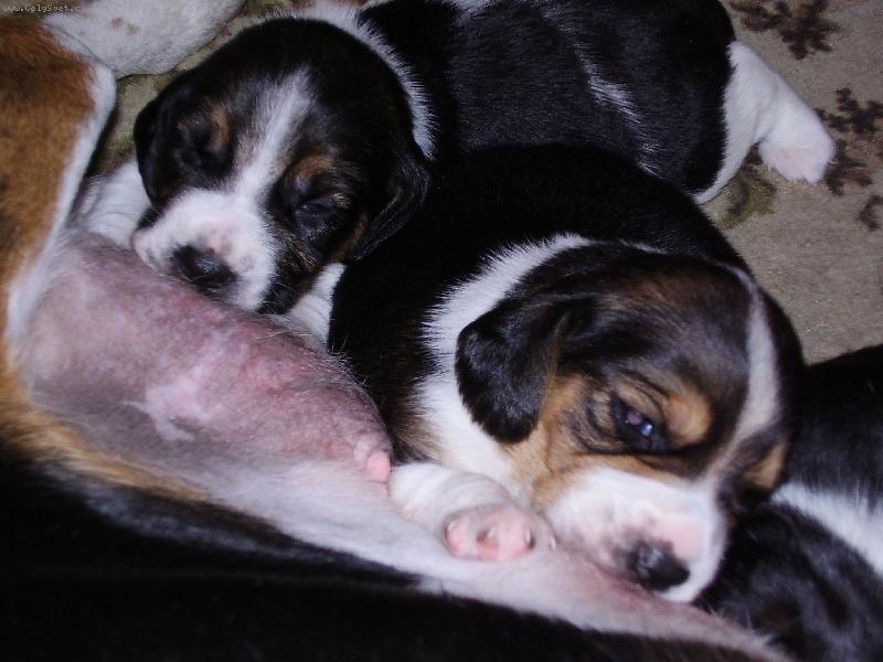 Foto: TO JE �R�DLO CO?-Je n�m �trn�t dn�