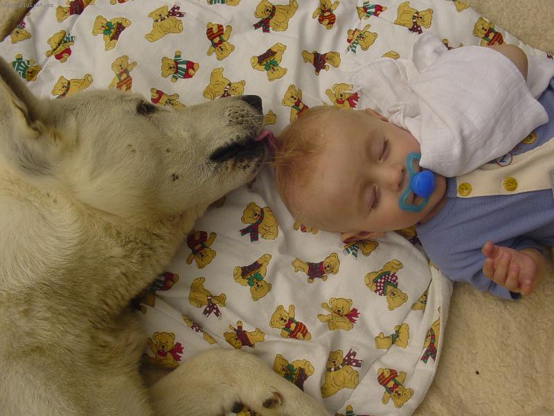 Foto: Moc se nevr�, nebo ti toho kohouta nal�u nak�ivo.-Herm�nek hl�d� Danyho