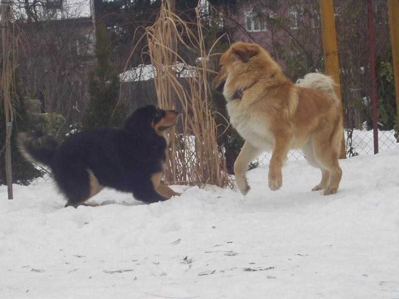 Foto: AHOJ NEVLASTN� BR�CHO!-Ro�n� fenka Brooke s o rok star��m nevlastn�m br�chou Arturem.