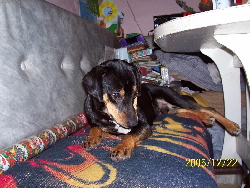 Foto: leh�ro-odpo�inek