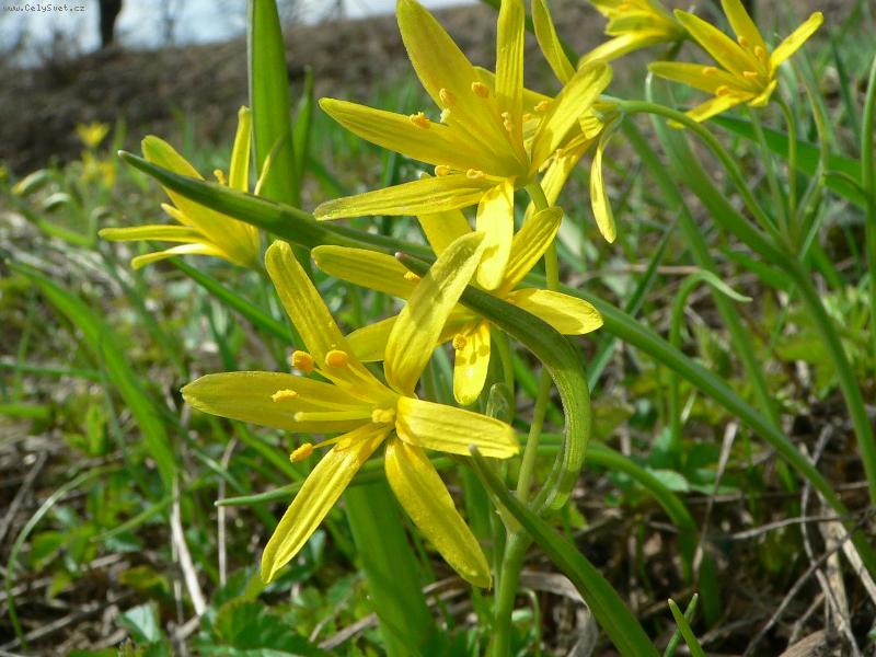 Foto: K�ivatec �lut�