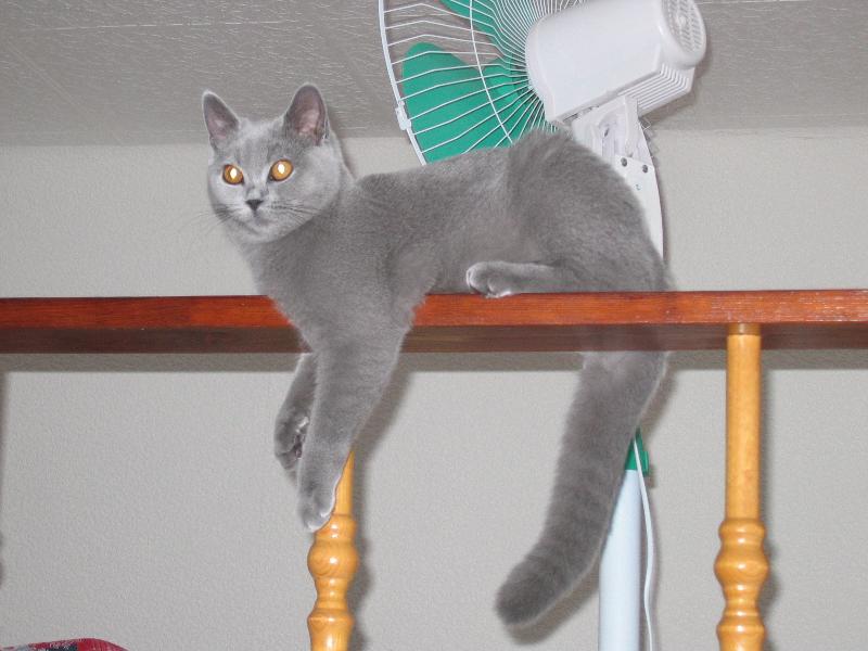 Foto: And�lka-To je pohodi�ka