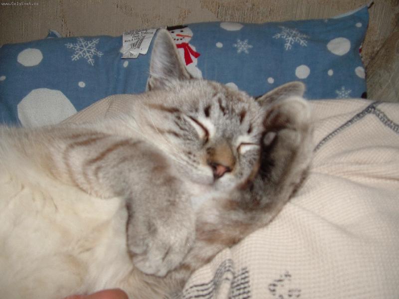 Foto: Dam si jen 10 minut......