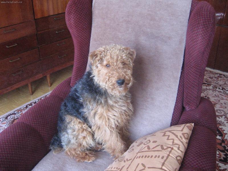 Foto: tady jsme p�nem j�!-ale pssst!na k�eslo j� nesm�m!