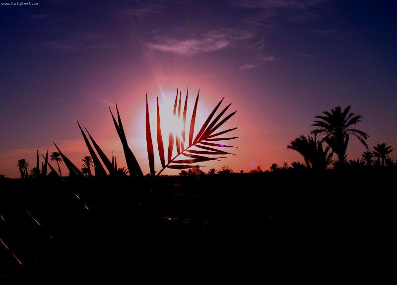 Foto: Z�pad slunce na pou�ti-Z�pad slunce - Djerba