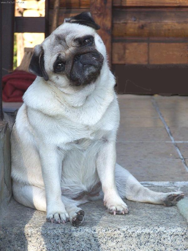 Foto: Na�e slun��ko z Liberce-Andulka