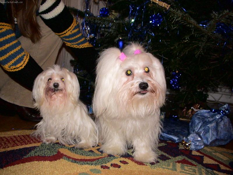 Foto: Nelinka a Beru�ka-Nen� malt�z��ek jako malt�z��ek