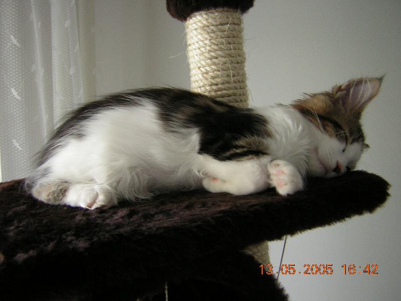 Foto: Evelyn-Le�� a hajink�, potv�rka malink� ..