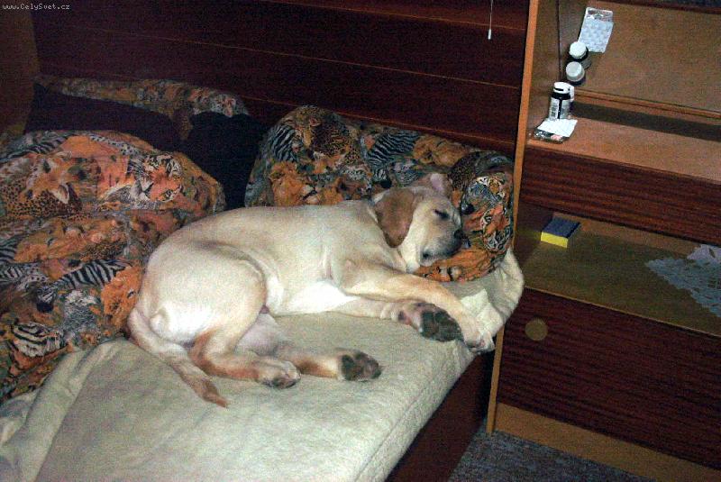 Foto: White-Jen si trochu zd��mnu