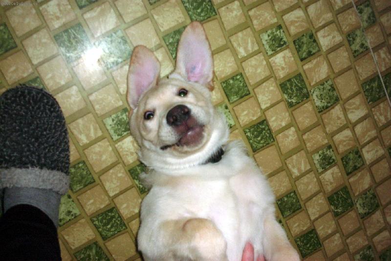 Foto: White-Co kouk�?