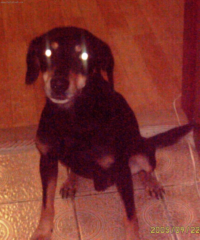 Foto: R�d si hraji na UFO :)-R�d si hraji na UFO :)