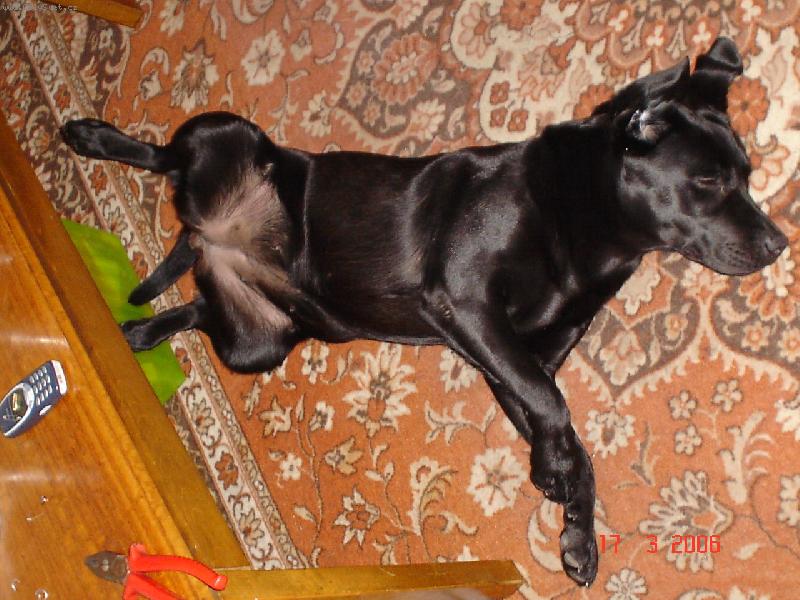 Foto: Nancy modelkou-Nancy piln� p�zuje kdykoliv a kdekoliv