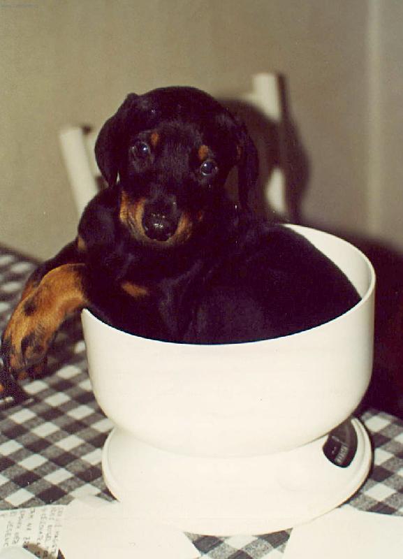 Foto: A� budu velk�, budu h�dn� velk�....