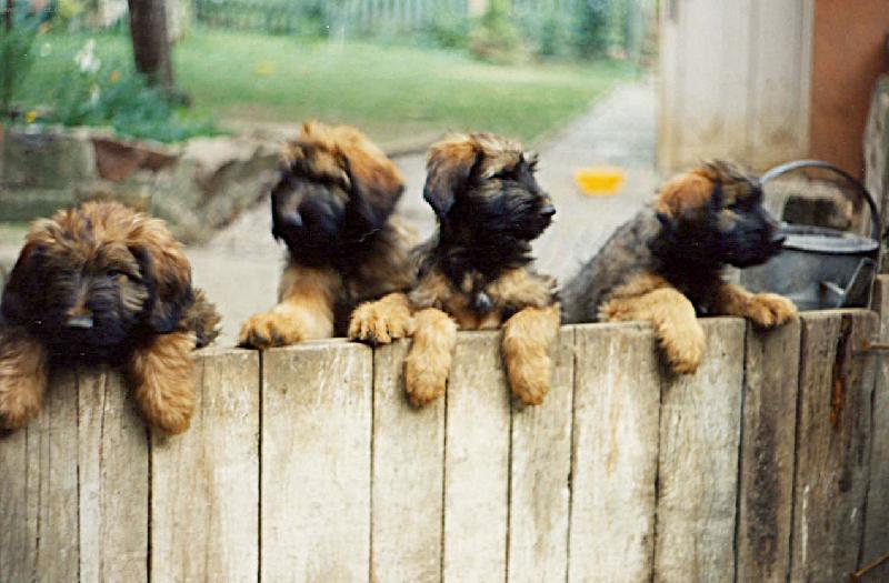 Foto: Pus�te n�s tam, chceme v�echno vid�t!