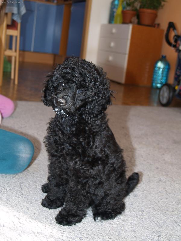 Foto: podle mne u� jsem velk� holka co ��k�te??