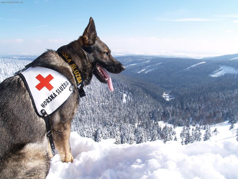 Foto: toto je muj rev�r-Beskydy