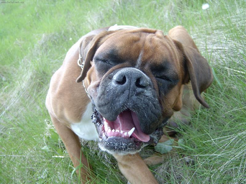 Foto: Gines Bretorri-Tohle drb�n� se mi mooc l�b�