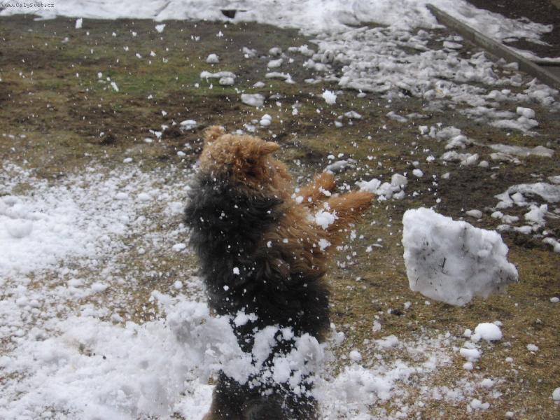 Foto: pozor pozor!!!-tady se vyu�uje BOX!